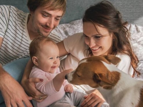 Adiestramiento canino