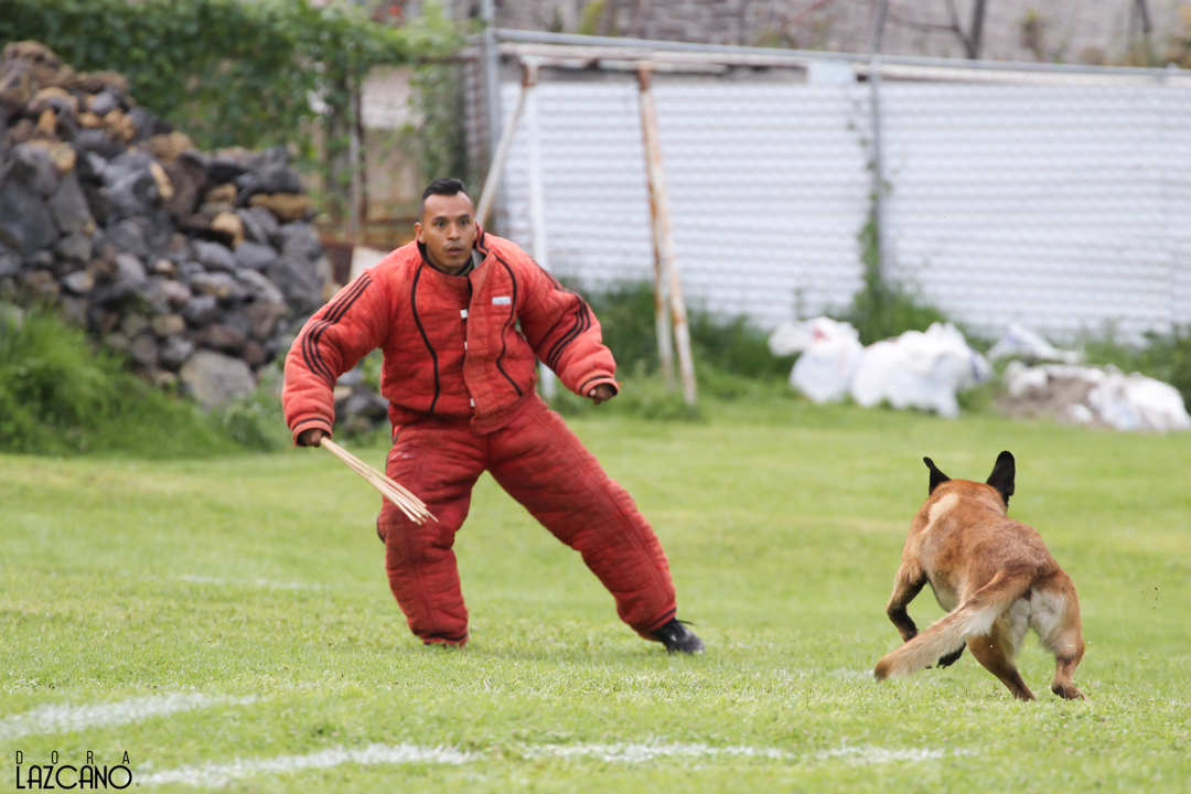 Campeonato Nacional 2019, HA Carlos Cardona, Matrix, Ring Frances Mexico 1035