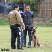 Campeonato Nacional 2019, HA Misael Mercado, Juan Ramón RG, Matrix, Ring Frances Mexico 6187