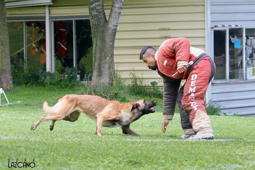 Campeonato Nacional 2019, HA Yvan Granados, Matrix, Ring Frances Mexico 0927