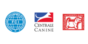 Logos afiliaciones 3