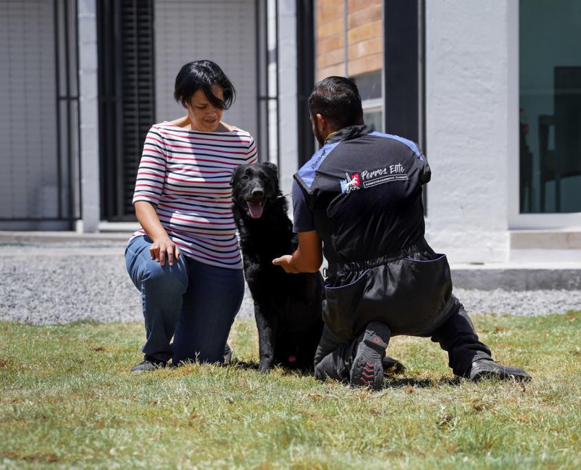 Perros Elite Queretaro-1